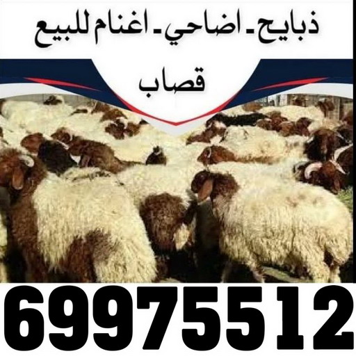 2 فني المنيوم - الاتصال 97488682