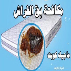 مكافحة بق مكافحة حشرات - مكافحة حشرات وقوارض - الاتصال 91111288 - شركة حشرات - شركة مكافحة حشرات - مكافحة بق - مكافحة قوارض - مكافحة حشرات الكويت