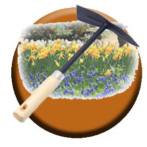 تنسيق حدائق - الاتصال 90932029