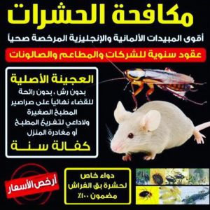 مكافحة حشرات الجهراء - مكافحة حشرات وقوارض الجهراء - الاتصال 91111288 - شركة حشرات - شركة مكافحة حشرات - مكافحة بق - مكافحة قوارض - مكافحة حشرات الكويت 3 WhatsApp Image 2020 12 28 at 12.01.54 AM مكافحة حشرات الجهراء - مكافحة حشرات وقوارض الجهراء - الاتصال 91111288 - شركة حشرات - شركة مكافحة حشرات - مكافحة بق - مكافحة قوارض - مكافحة حشرات الكويت