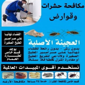 مكافحة قوارض - مكافحة حشرات وقوارض - الاتصال 50464050 - شركة حشرات - مكافحة حشرات - شركة مكافحة حشرات - مكافحة بق - مكافحة حشرات الجهراء - مكافحة حشرات الكويت